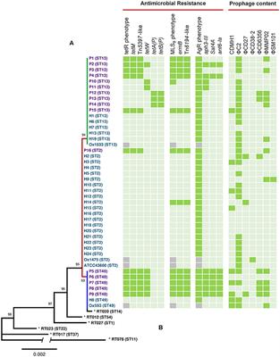 Genome Analysis of Clostridium difficile PCR Ribotype 014 Lineage in Australian Pigs and Humans Reveals a Diverse Genetic Repertoire and Signatures of Long-Range Interspecies Transmission